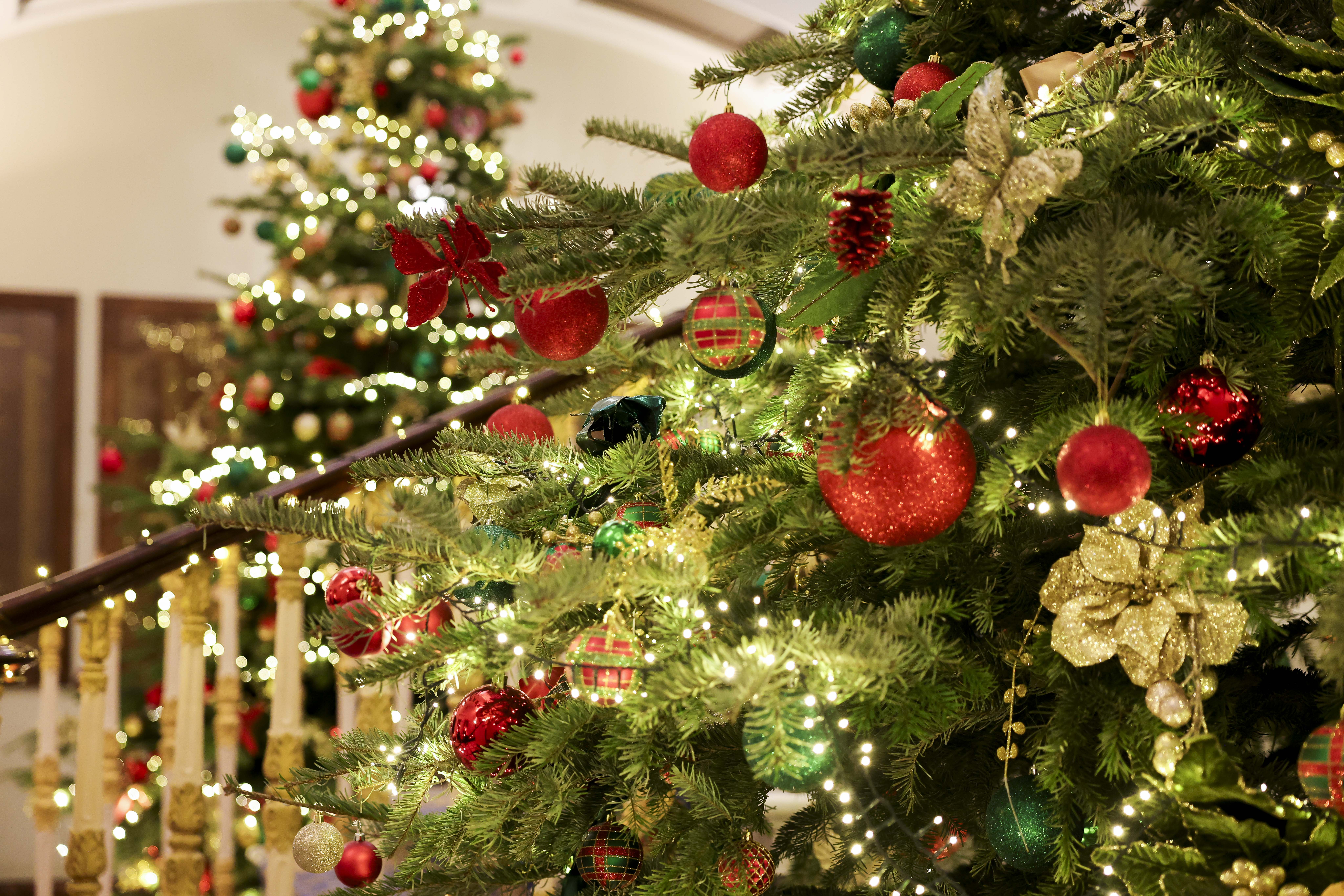 a Christmas tree at 116 Pall Mall